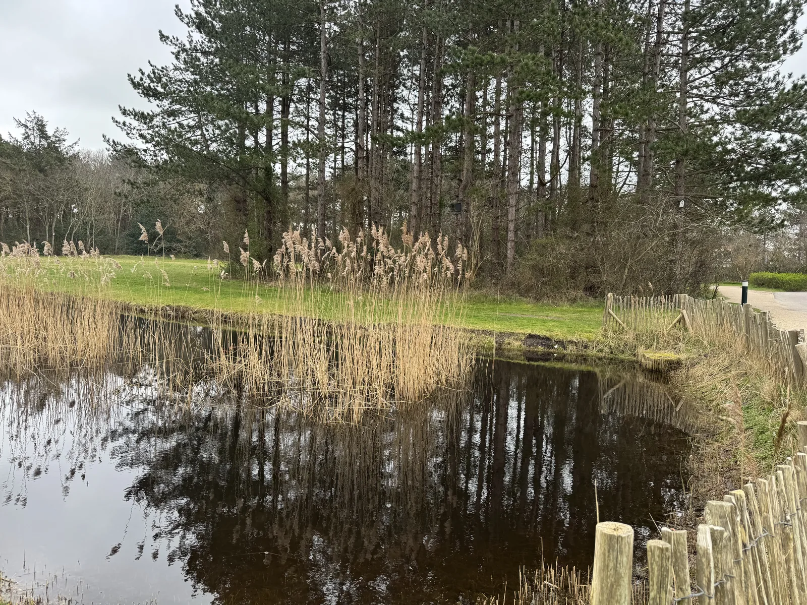 Teich mit Schilf und Uferbewuchs hinter einem niedrigen Holzzaun im Kustpark Texel