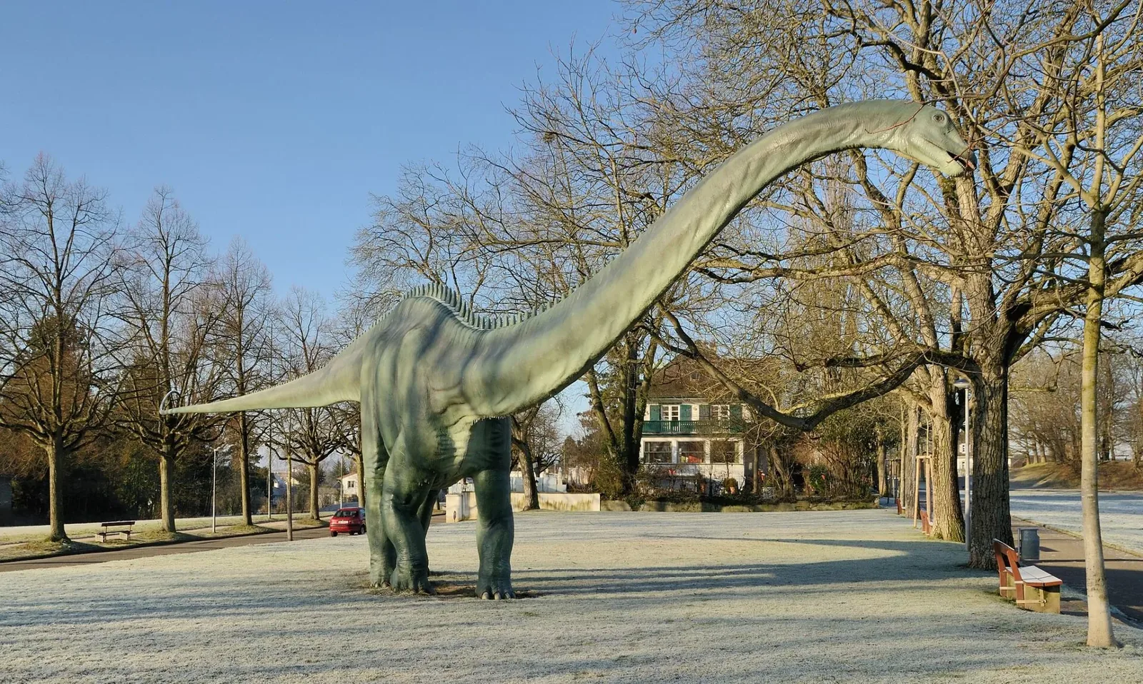 Dinosaurier Rätselfragen für Kinder