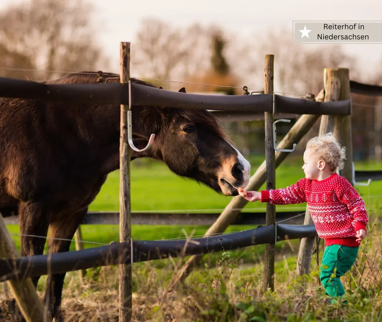 Familienurlaub in Niedersachsen -Urlaub auf dem Reiterhof