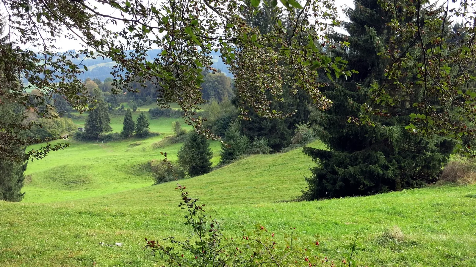 Familienwanderung mit kleinen Kindern im Oberallgäu - Die Natur rund um Rettenberg