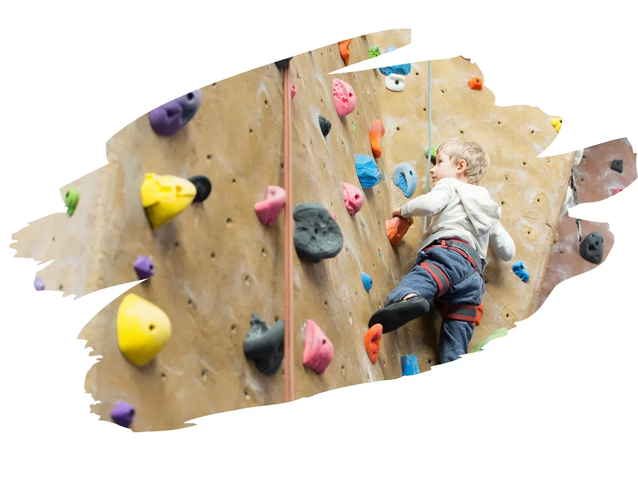 Klettern im Allgäu mit Kindern an der Kletterwand mit Sicherung