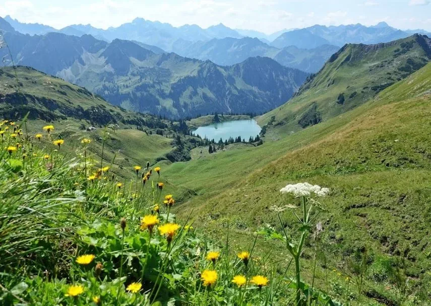 Wanderungen mit kleinen Kindern im Oberallgäu - Der Blick auf den Seealpsee