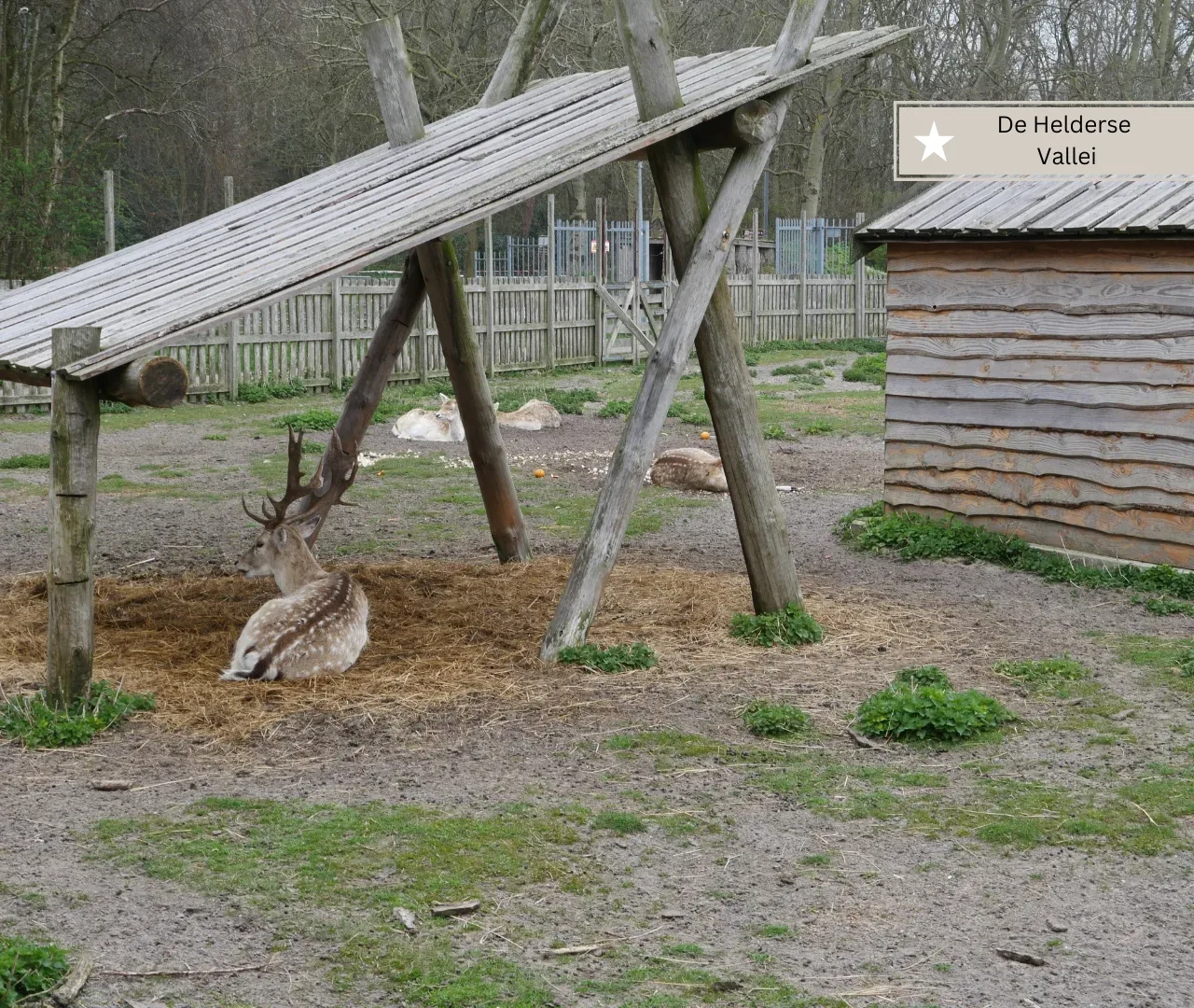 Ausflugsziele mit Kindern in Julianadorp und Callantsoog - De Helderse Vallei