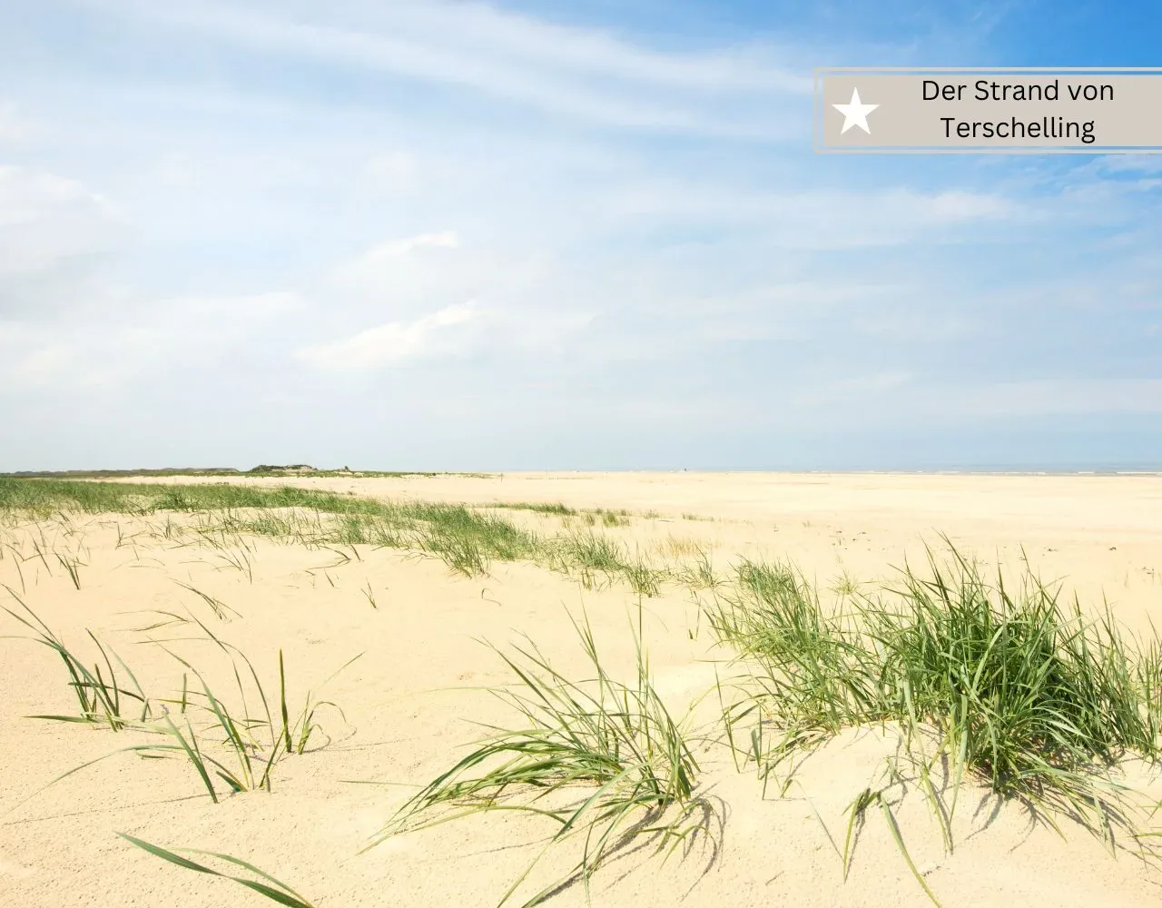 Familienurlaub in Holland am Strand - Der Strand von Terschelling auf den holländischen Inseln