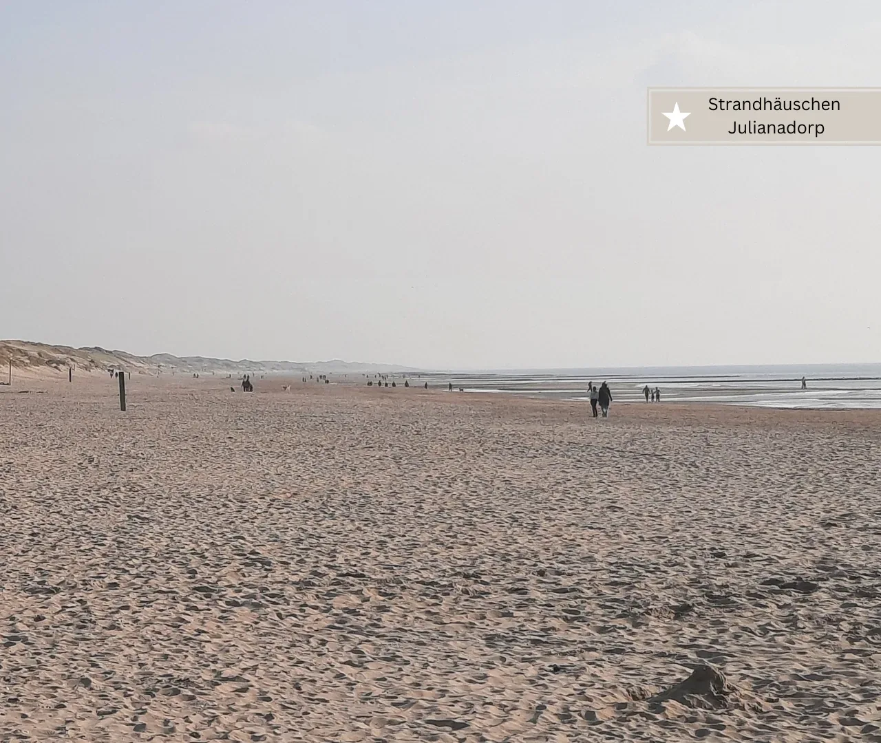 Strandhäuschen Julianadorp und Umgebung mit viel Strand