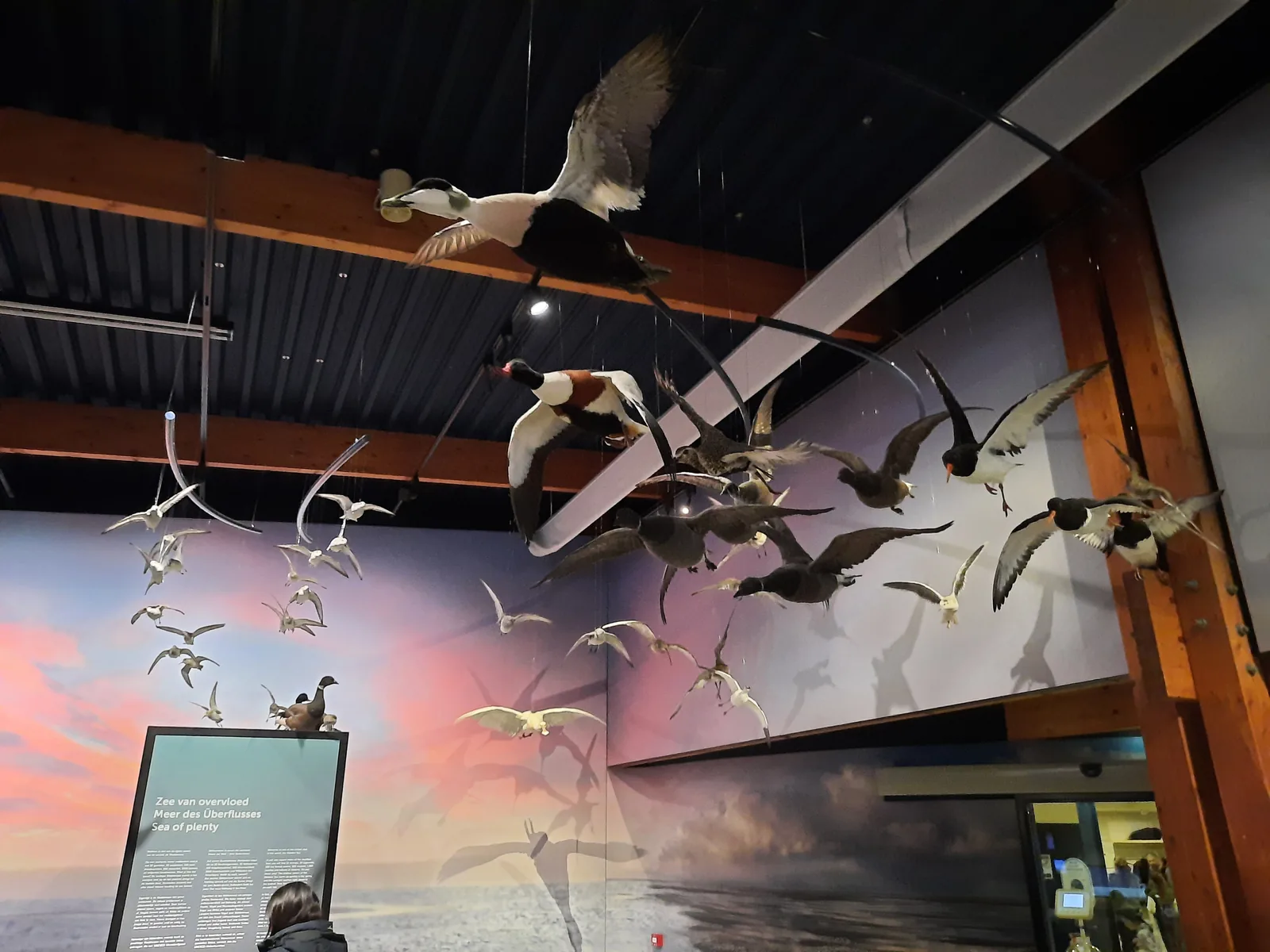 Von der Decke hängende Vogelpräparate im Flug vor einer Wandtapete mit Abendhimmel über dem Watt