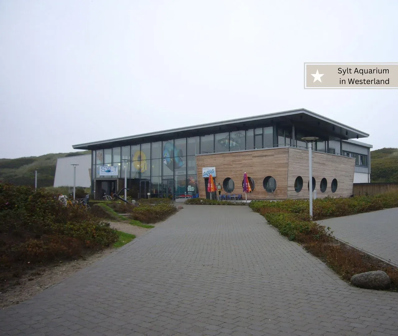 Ausflugsziele mit Kindern auf Sylt - Sylt Aquarium ideal bei schlechtem Wetter (1)