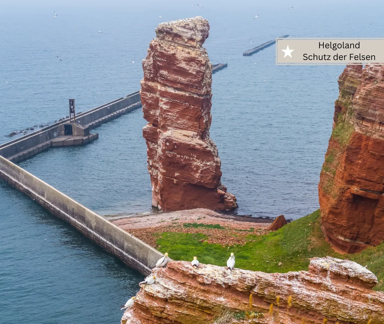 Familienurlaub an der Nordsee - Helgoland