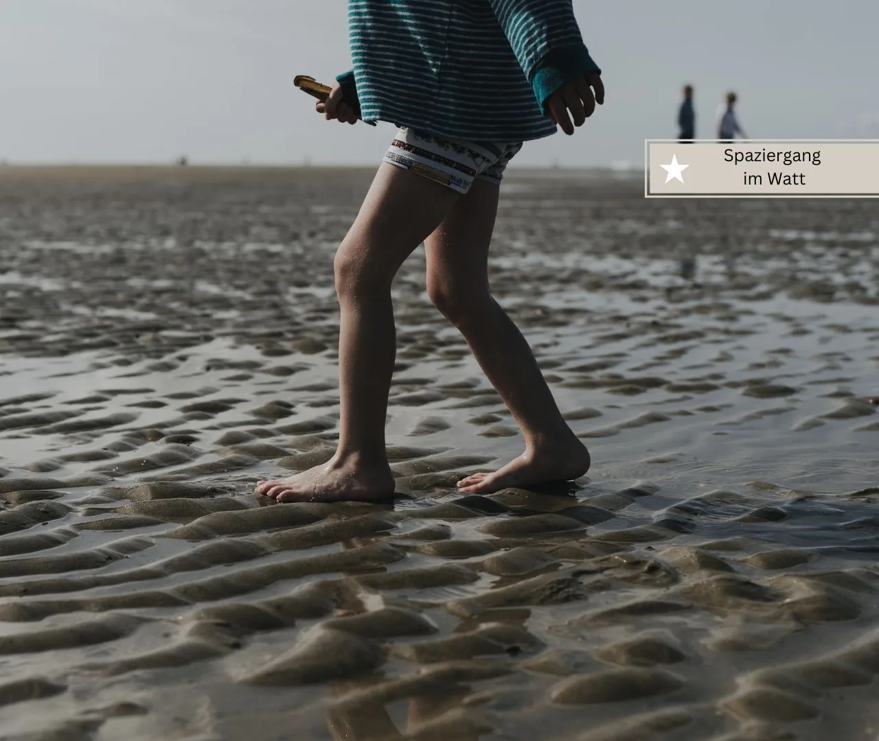 Sylt mit Kindern – 21 Ausflüge und Aktivitäten