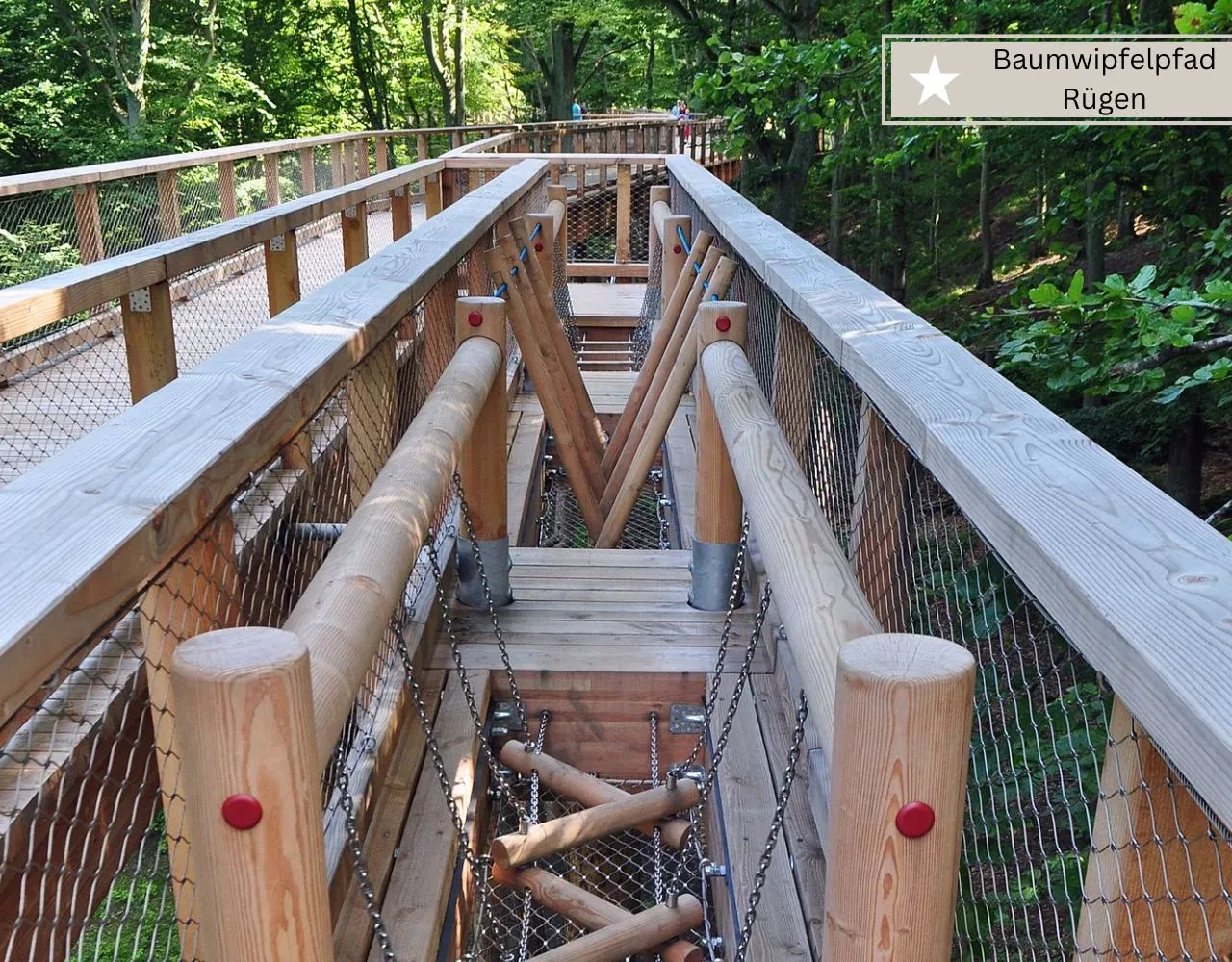Ausflugsziele auf Rügen für Kinder - Baumwipfelpfad im Naturerlebniszentrum