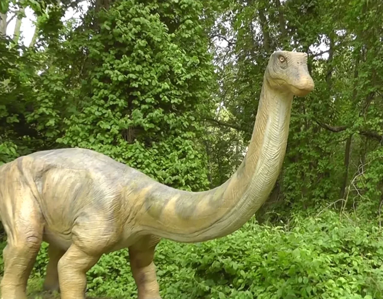 Dinosaurierland Rügen