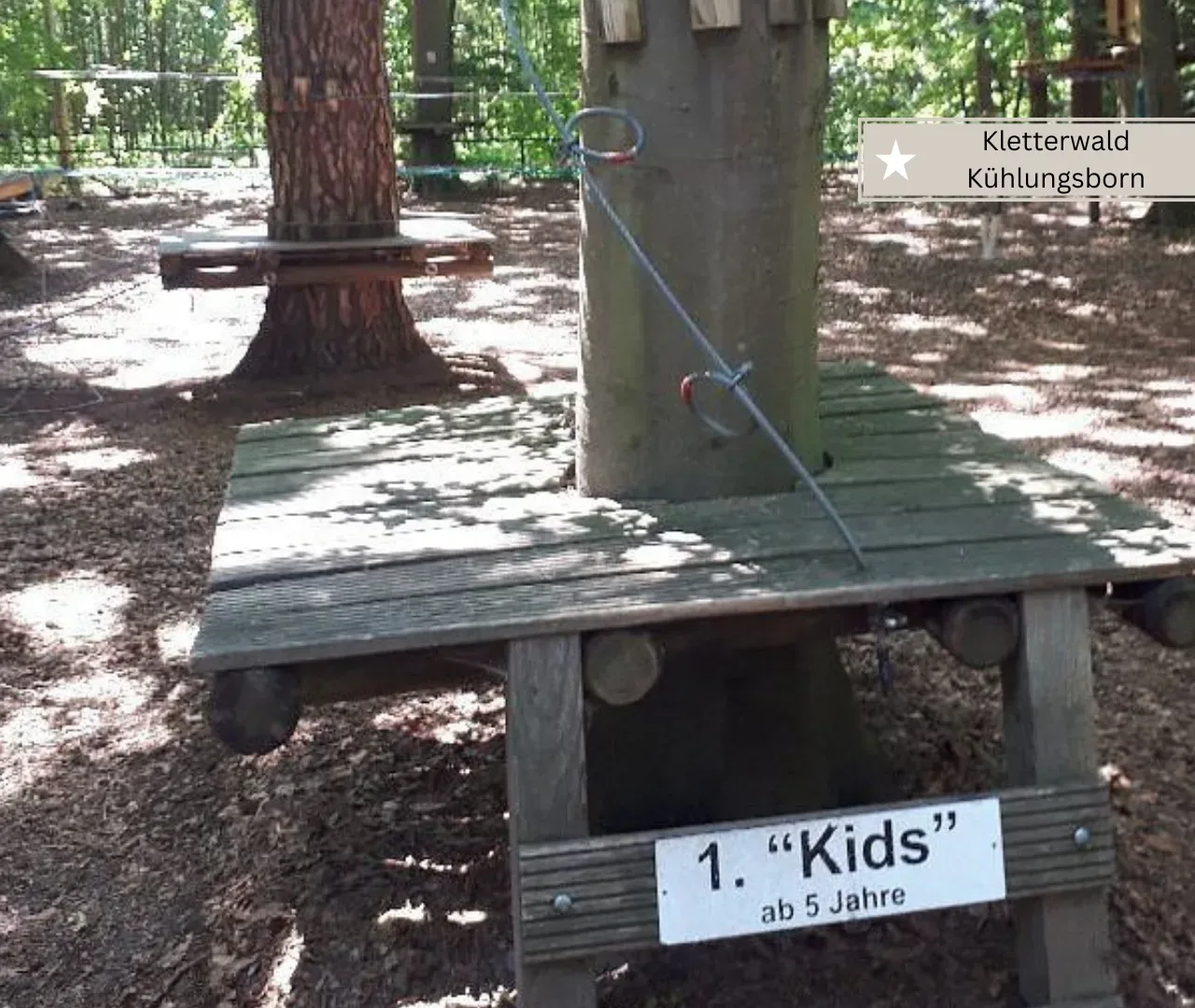 Kühlungsborn mit Kindern -Kletterwald Kühlungsborn