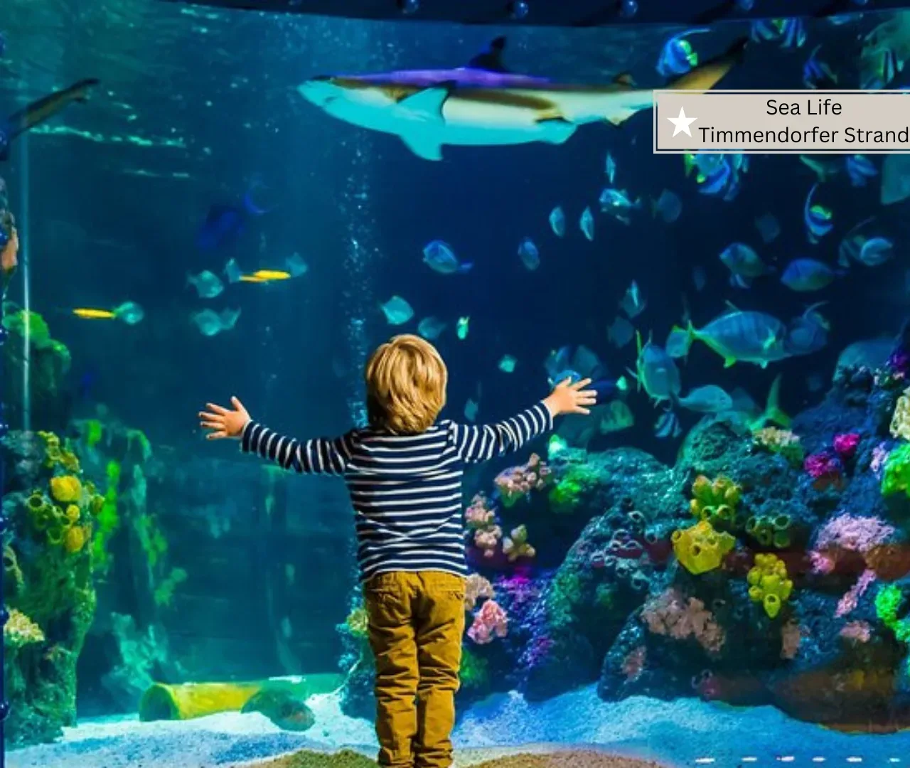 Timmendorfer Strand mit Kindern - Sea Life