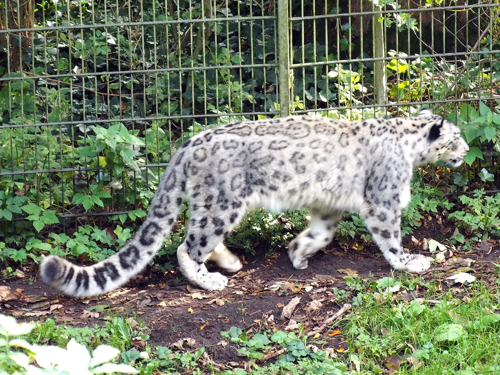 Rostock mit Kindern - Zoobesuch