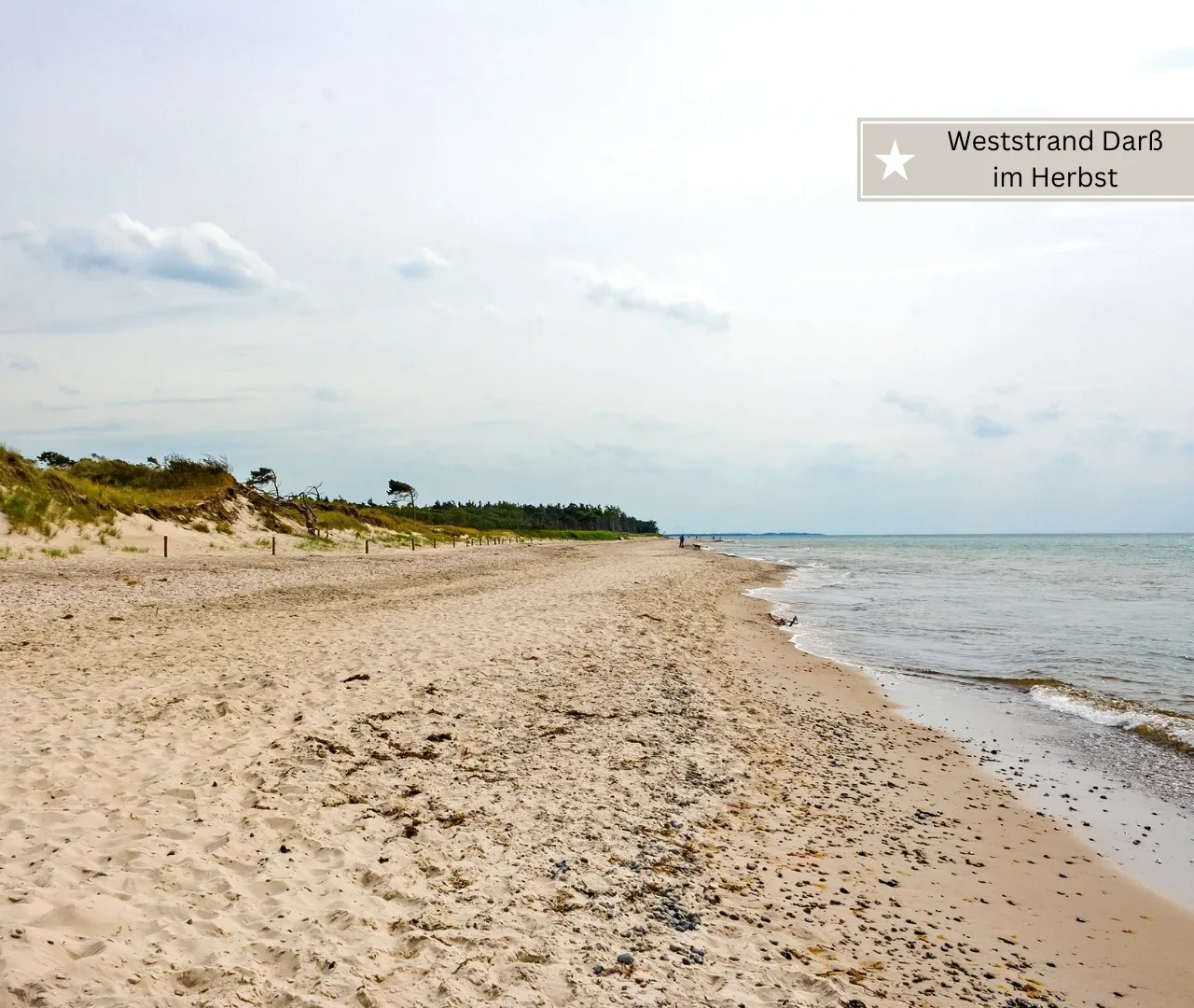 beste Ostseestrände für Familien -Weststrand Darß (1)