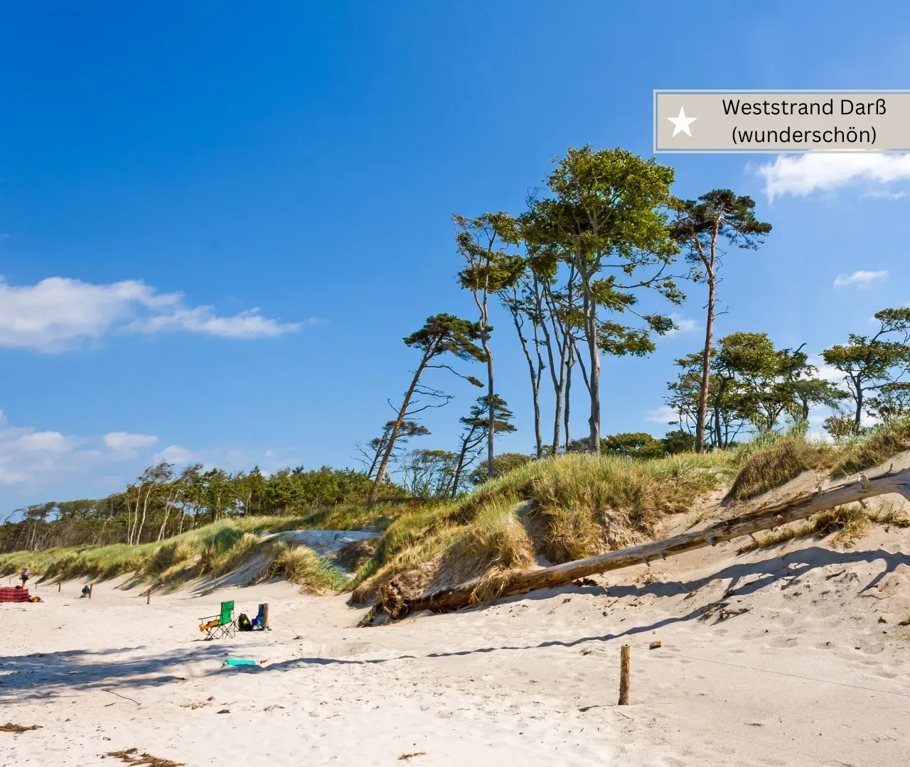 beste Ostseestrände für Familien -Weststrand Darß