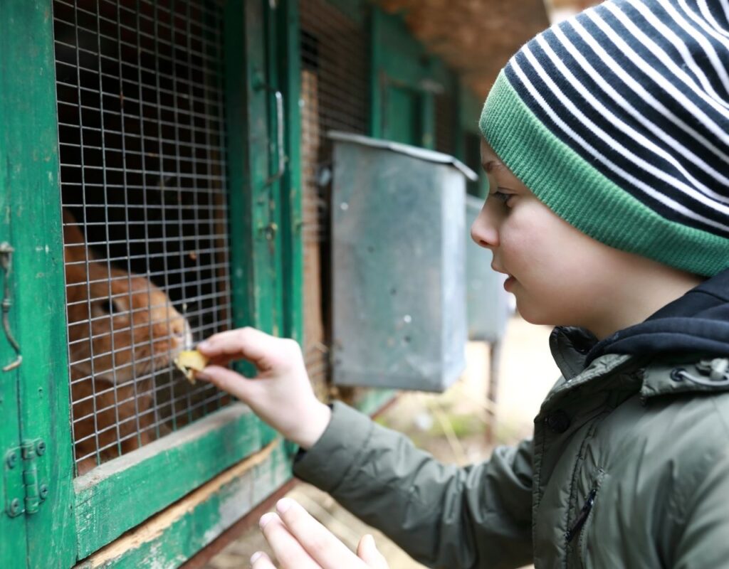 Urlaub auf dem Bauernhof mit Kindern - Alle Fragen 4 Kinderbauernhof Urlaub Tipps