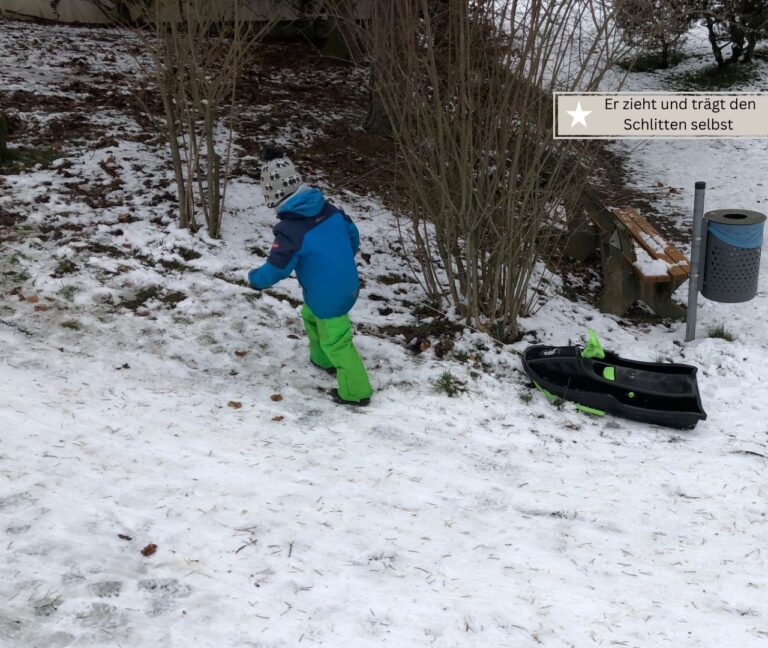 die besten Schlitten für Kleinkinder