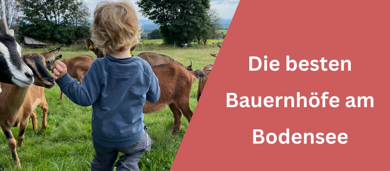 die besten Bauernhoefe am Bodensee fuer Kinder