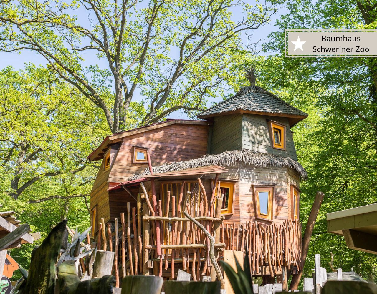 Die schönsten Baumhaus-Übernachtungen in DeutschlandSchweriner Zoo
