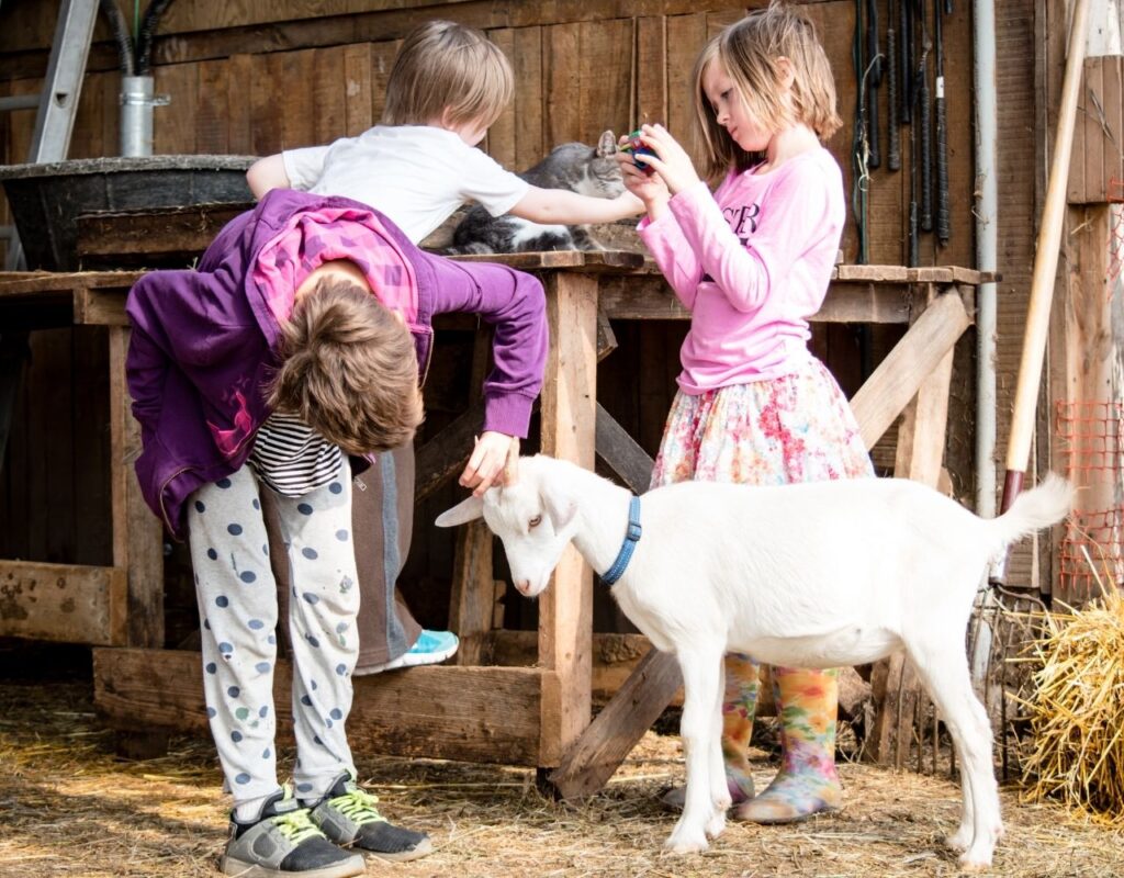 Ferienwohnungen auf dem Bauernhof mit Kinder im bayerischen Wald auf dem