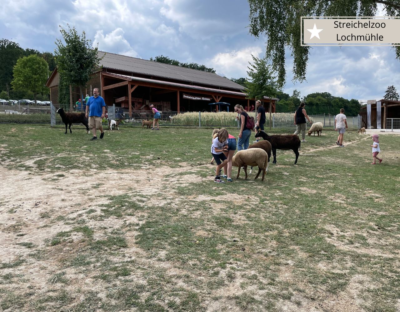 Freizeitpark Lochmühle - Der Streichelzoo auch 24 Monate alte Kinder geeignet