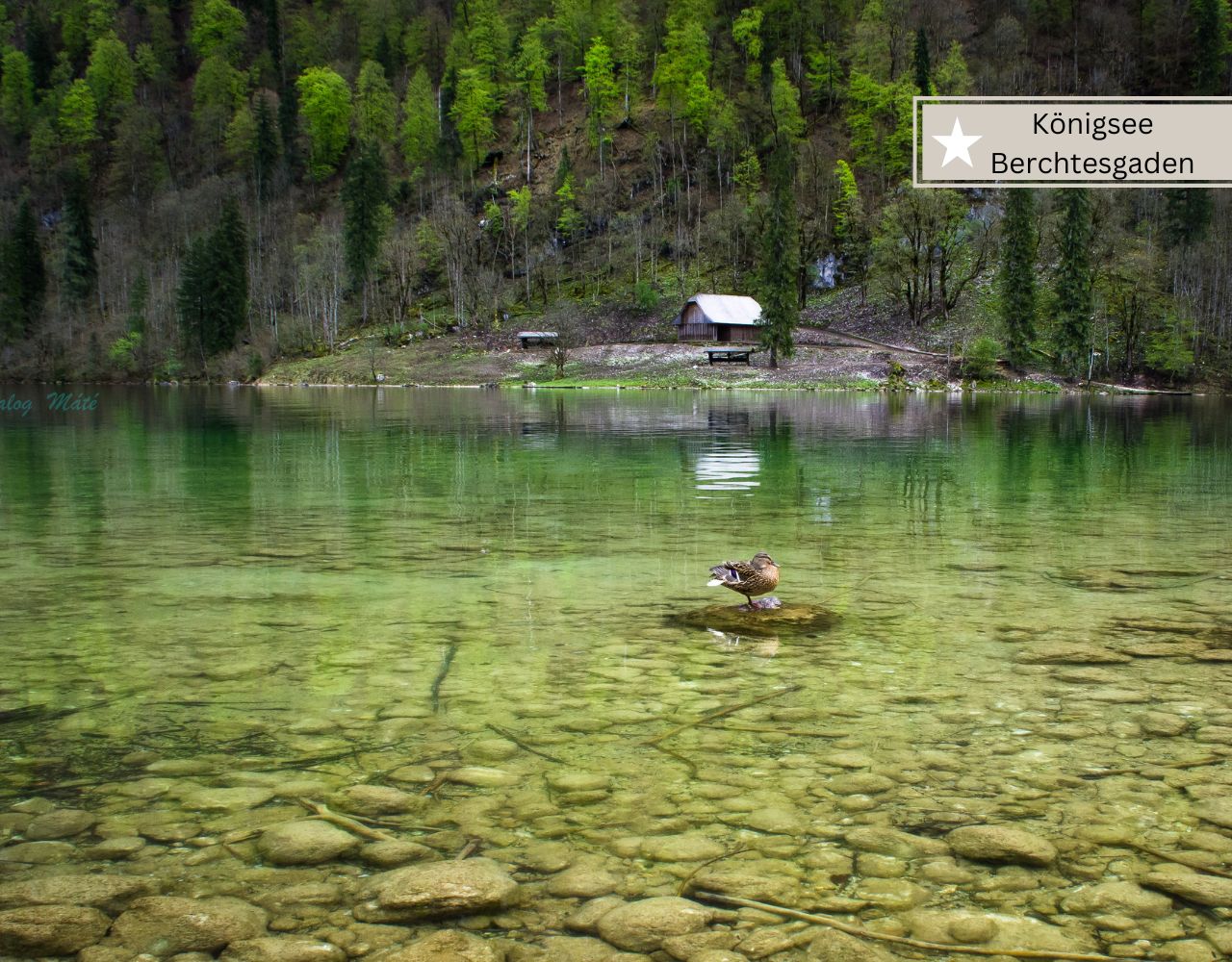 Die 13 schönsten Seen in Bayern (für Urlaub, zum Baden) auf einer Karte (+Geheimtipps) 15 Schöne Bayerische Seen - Königsee in Niederbayern