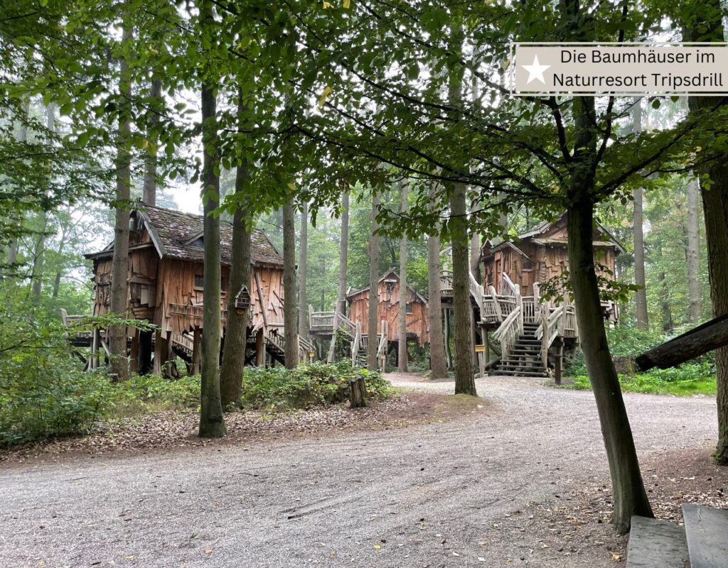 die besten Ferienparks - Tripsdrill Naturresort mit Freizeitpark und Wildgehege ideal für Kinder ab 6 jahre