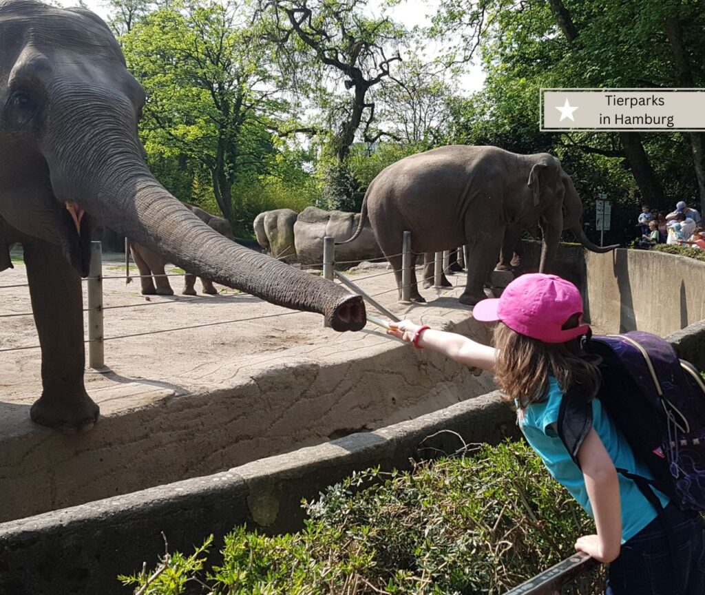 Zoos und Tierparks mit Streichelzoo in Hamburg