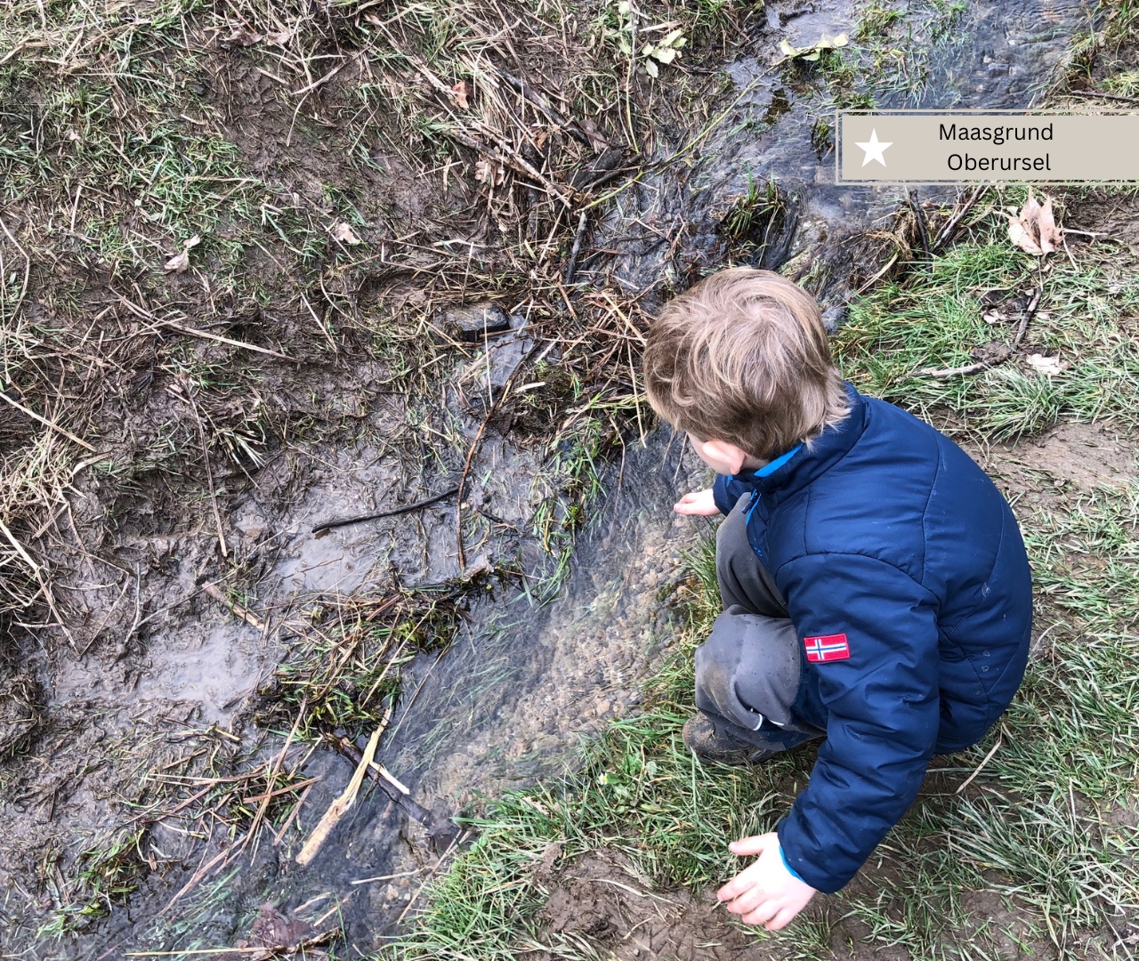 Taunus mit Kindern - die besten Ausflugsziele und Aktivitäten für ganze ... Taunus mit Kindern - die besten Ausflugsziele und Aktivitäten für ganze ...