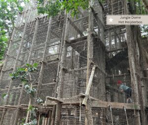 Jungle Dome Het Heijderbos - Indoorspielplatz bei Regen