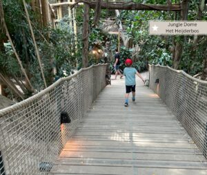 Jungle Dome Het Heijderbos - Indoorspielplatz für Kinder ab 5 Jahre