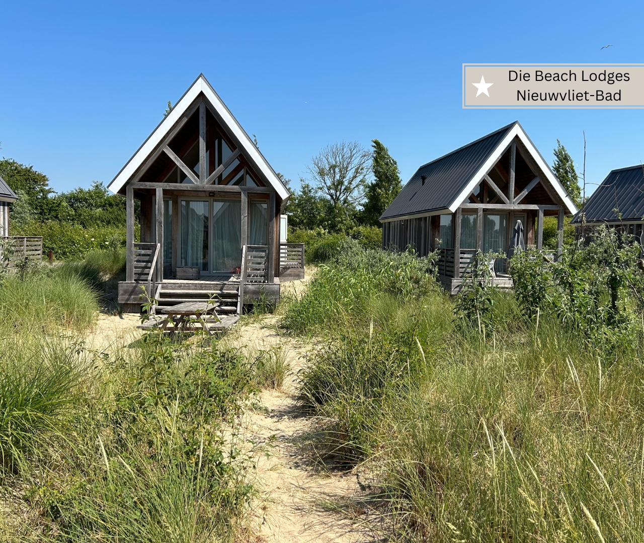 _der beste Ferienpark in Holland am Meer - Nieuwvliet-Bad mit tollen Beachlodges