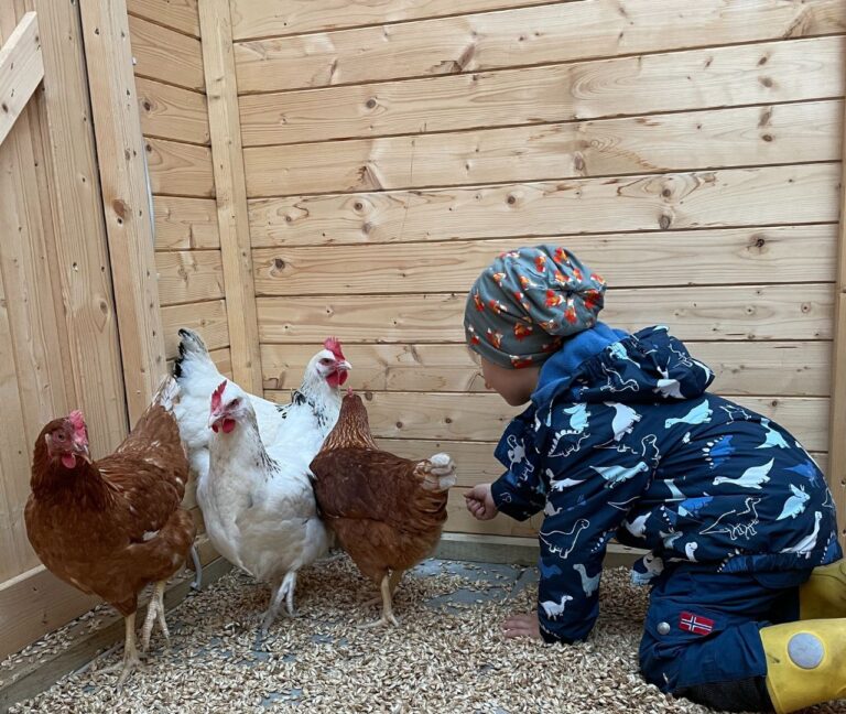 Kinderbauernhof Ostsee Ferien mit Spielscheune (1)