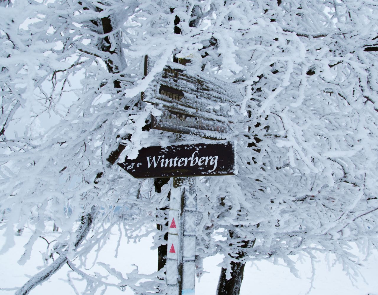 die besten Ferienparks im Winter - Skigebiet Winterberg (1)